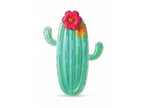 Cactus Float