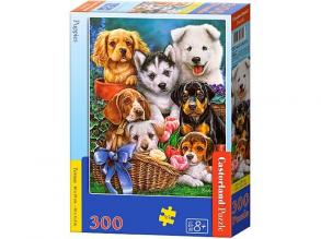 Castorland B-030323 Puppies, 300 Teile Puzzle, bunt