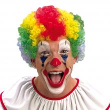 Multi Color Clown Perücke Erwachsener